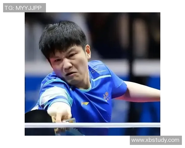 西安乒乓球队进攻体系解析与战术创新探讨