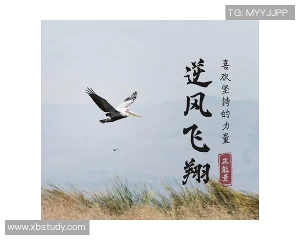 史鸿飞的传奇人生与奋斗历程揭示了梦想与坚持的力量